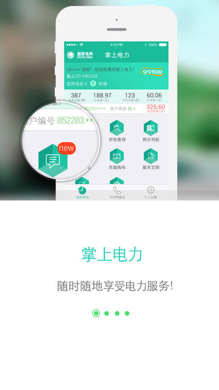 网上国网免费版app