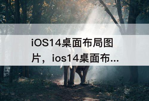 iOS14桌面布局图片，ios14桌面布局图片怎么设置好看