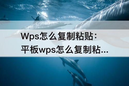 Wps怎么复制粘贴：平板wps怎么复制粘贴