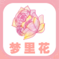 梦里花贷款app