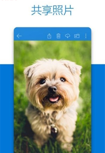 onedrive安卓6.96