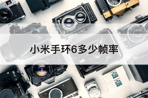 小米手环6多少帧率