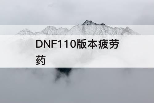 DNF110版本疲劳药
