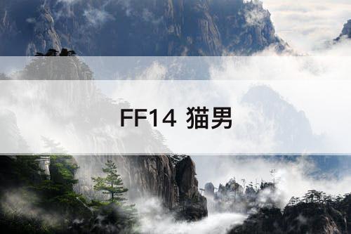 FF14 猫男