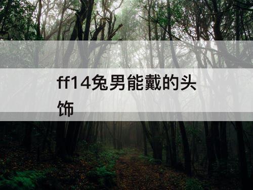 ff14兔男能戴的头饰