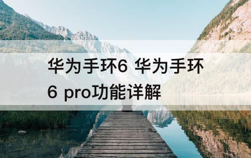 华为手环6 华为手环6 pro功能详解