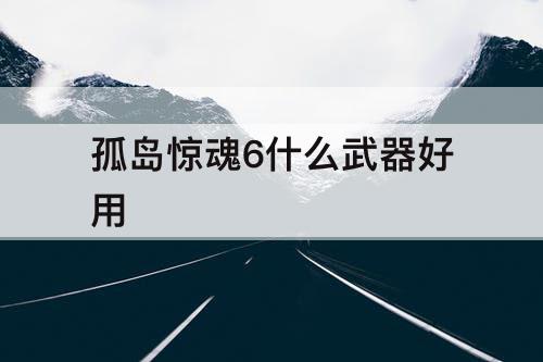 孤岛惊魂6什么武器好用