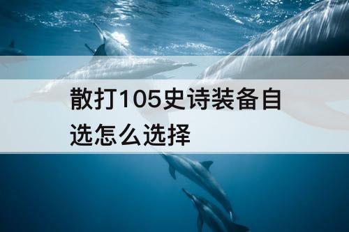 散打105史诗装备自选怎么选择