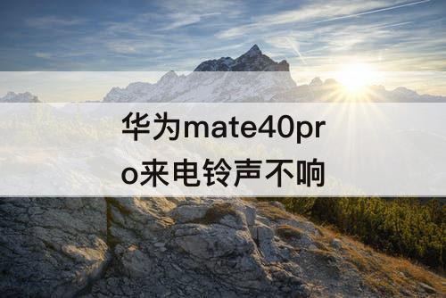 华为mate40pro来电铃声不响