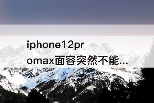 iphone12promax面容突然不能用