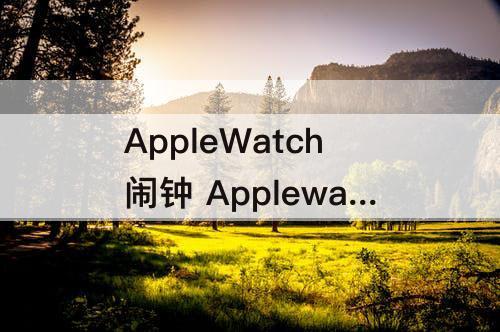 AppleWatch闹钟 Applewatch闹钟