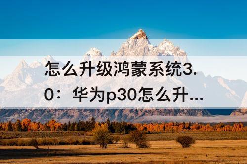 怎么升级鸿蒙系统3.0：华为p30怎么升级鸿蒙系统3.0