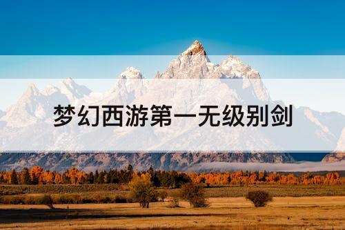 梦幻西游第一无级别剑
