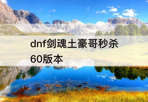 dnf剑魂土豪哥秒杀60版本