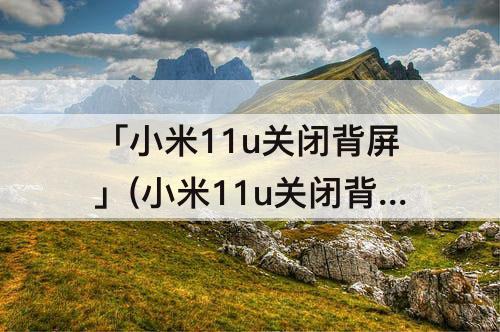 「小米11u关闭背屏」(小米11u关闭背屏切歌)