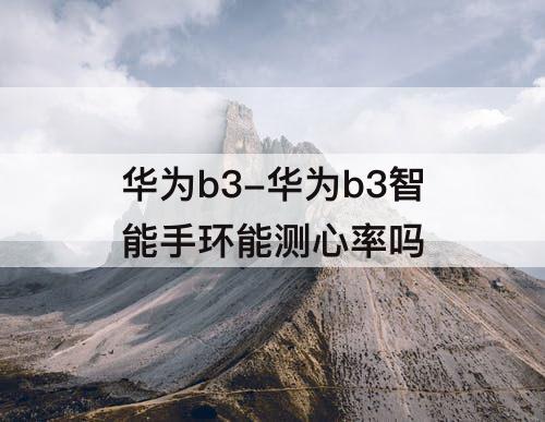 华为b3-华为b3智能手环能测心率吗