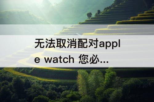 无法取消配对apple watch 您必须 无法取消配对apple watch 您必须接入互联网