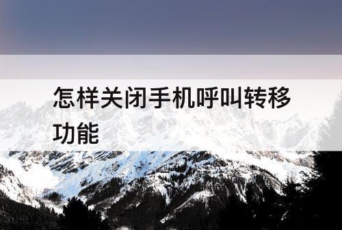 怎样关闭手机呼叫转移功能