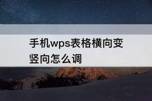 手机wps表格横向变竖向怎么调