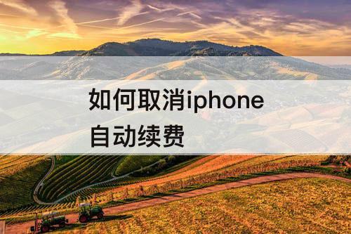 如何取消iphone自动续费