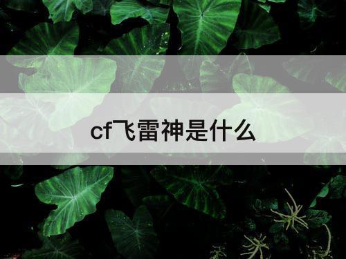 cf飞雷神是什么