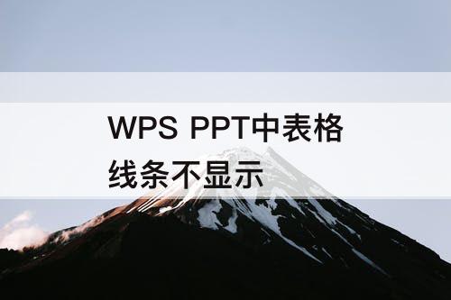 WPS PPT中表格线条不显示