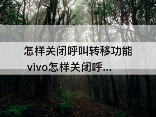 怎样关闭呼叫转移功能 vivo怎样关闭呼叫转移功能