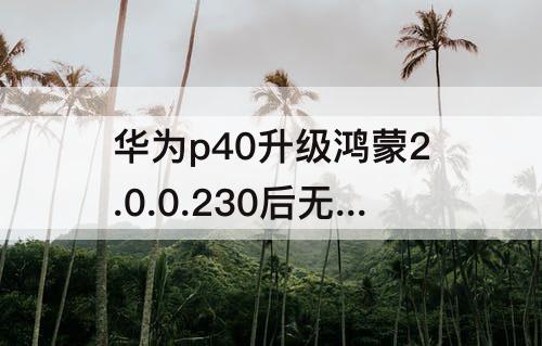 华为p40升级鸿蒙2.0.0.230后无法使用投屏