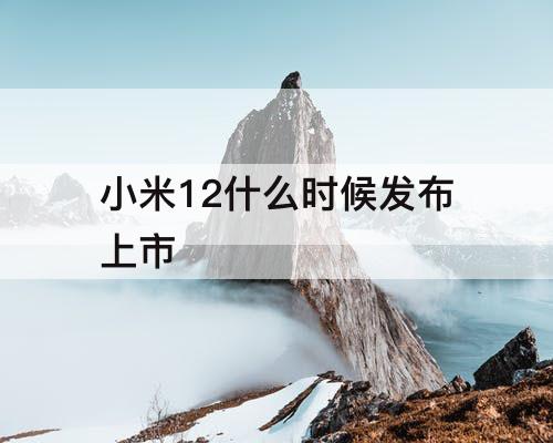 小米12什么时候发布上市