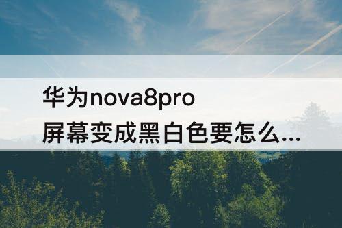 华为nova8pro屏幕变成黑白色要怎么改回来