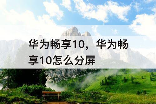 华为畅享10，华为畅享10怎么分屏