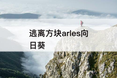 逃离方块arles向日葵