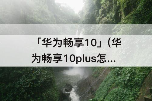 「华为畅享10」(华为畅享10plus怎么样)