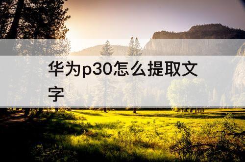 华为p30怎么提取文字