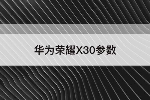 华为荣耀X30参数