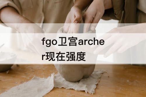 fgo卫宫archer现在强度