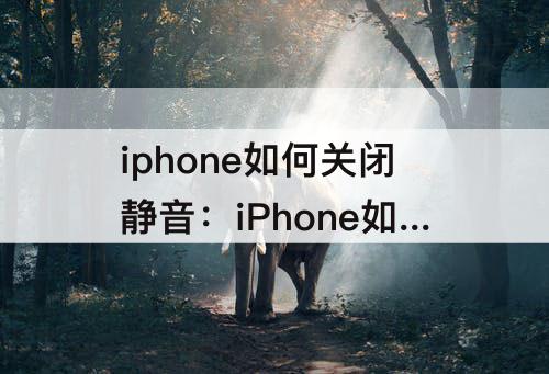 iphone如何关闭静音：iPhone如何关闭静音来电