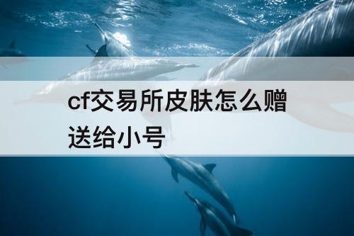 cf交易所皮肤怎么赠送给小号