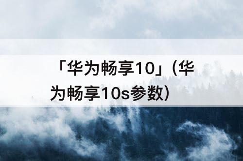 「华为畅享10」(华为畅享10s参数)