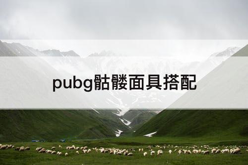 pubg骷髅面具搭配