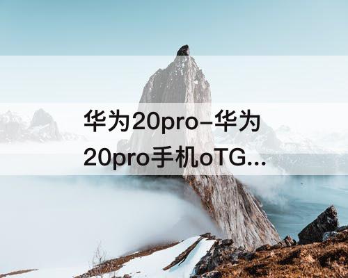 华为20pro-华为20pro手机oTG开关在哪打开