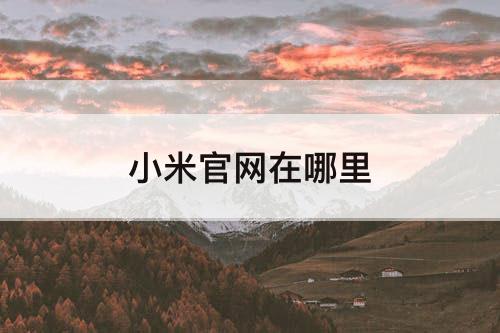 小米官网在哪里