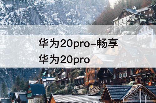 华为20pro-畅享华为20pro