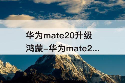 华为mate20升级鸿蒙-华为mate20升级鸿蒙3.0公测