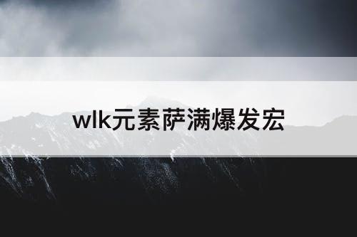 wlk元素萨满爆发宏