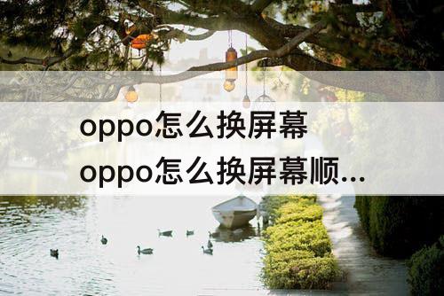 oppo怎么换屏幕 oppo怎么换屏幕顺序