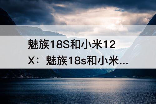 魅族18S和小米12X：魅族18s和小米12x哪个好