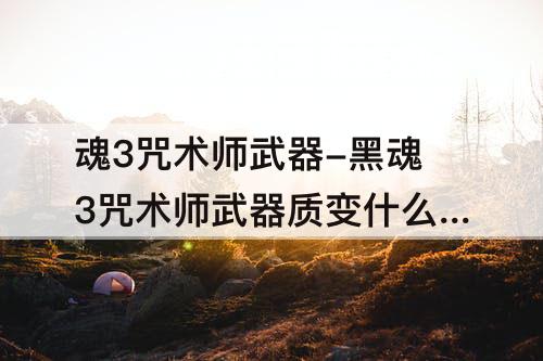 魂3咒术师武器-黑魂3咒术师武器质变什么武器