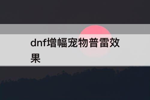 dnf增幅宠物普雷效果