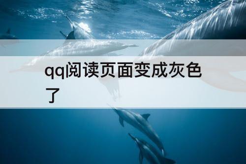 qq阅读页面变成灰色了